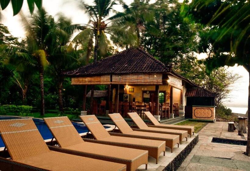 חדר דלוקס, Ganesha Amed