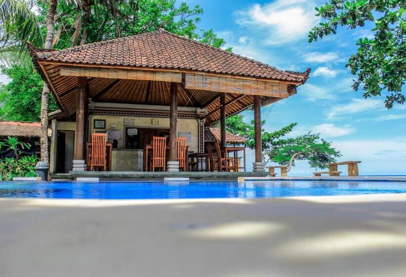 חדר דלוקס, Ganesha Amed