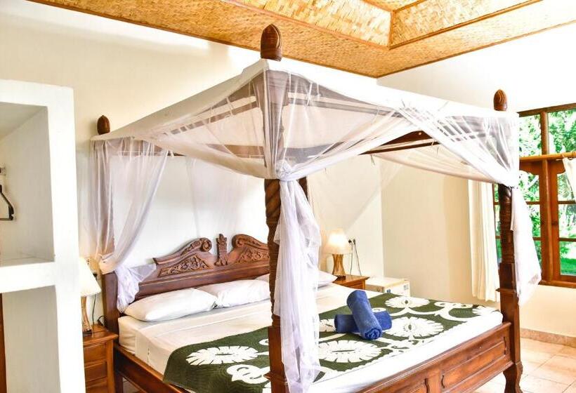 חדר דלוקס, Ganesha Amed