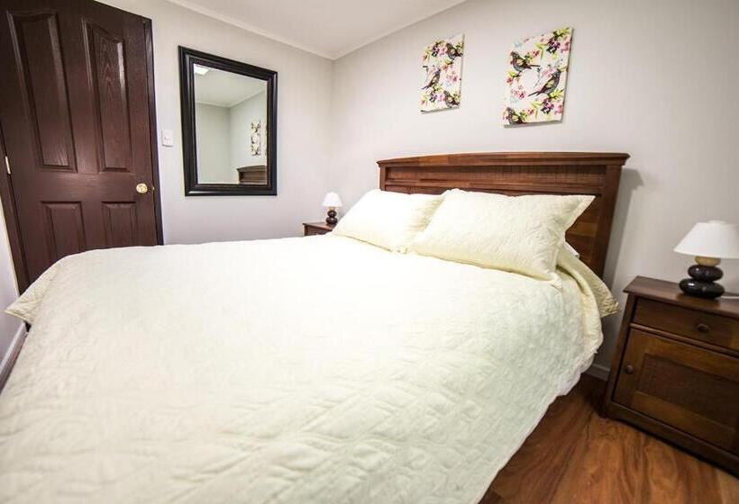 스탠다드 룸, Hostel Chaman