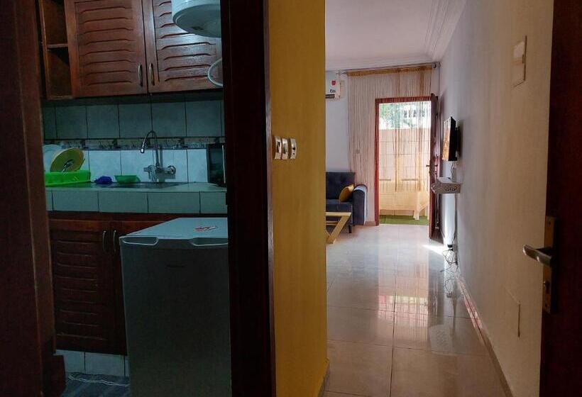 استودیوی استاندارد, Rev Residence