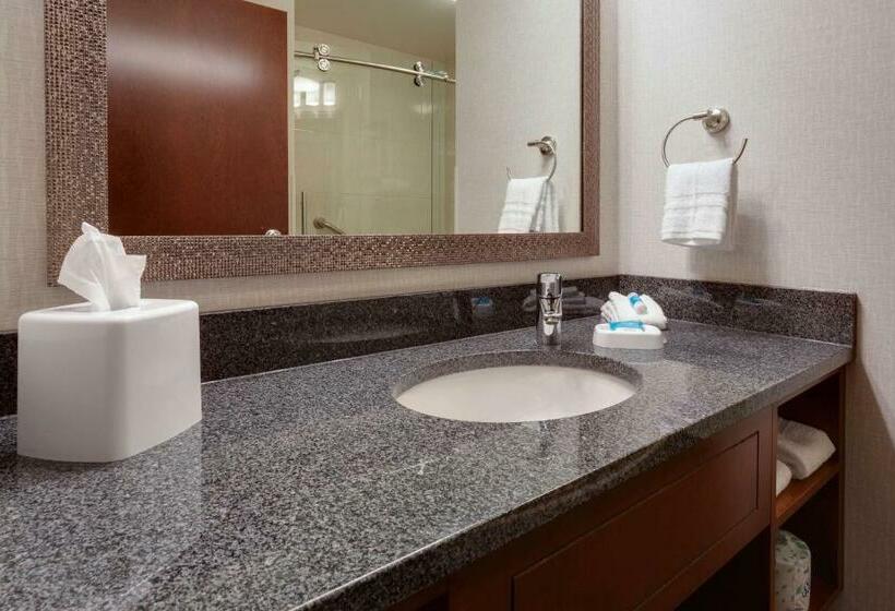 غرفة ديلوكس سرير كينج, Drury Plaza Hotel Columbia East