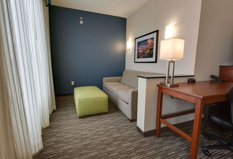 Номер Deluxe, Drury Plaza Hotel Columbia East