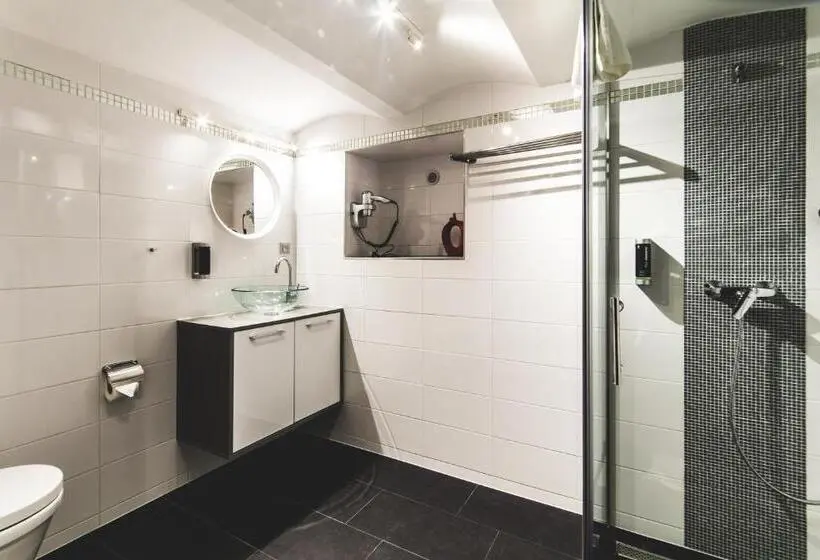 استودیو استاندارد با تخت کینگ, Silesia Residence