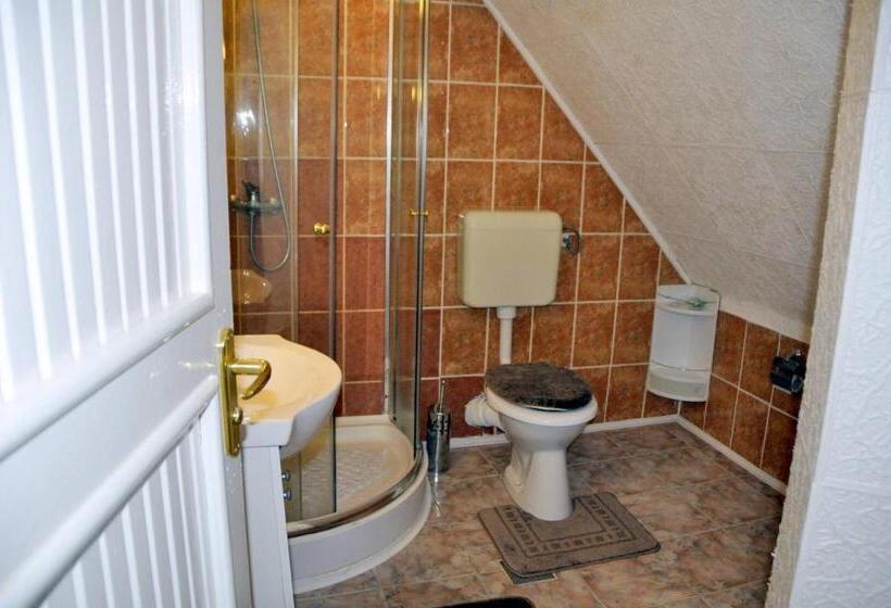 Номер Стандарт, Pensiunea Alex