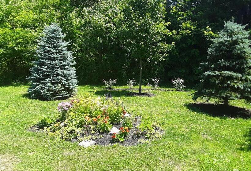 סוויטה דלוקס, The Fields Of Eden Inn