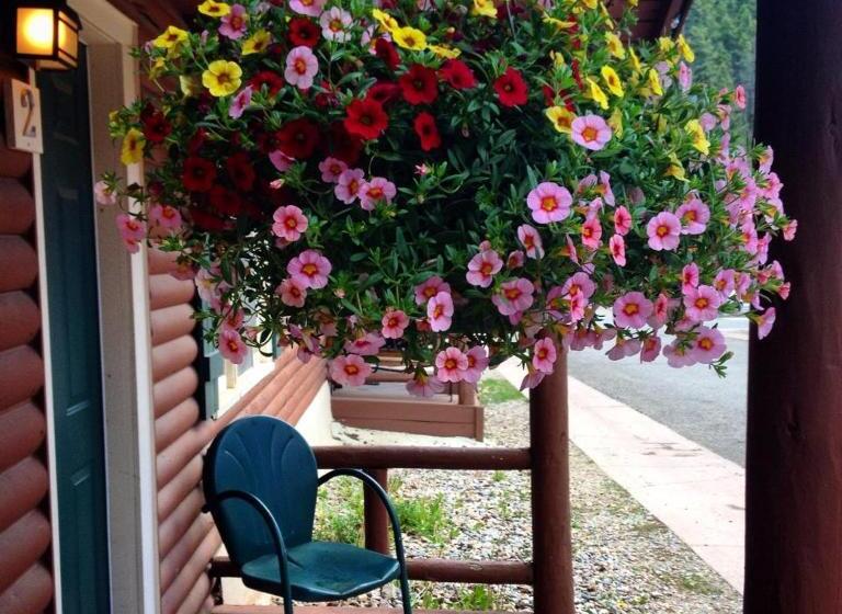 شقة غرفة واحدة ذات إطلالة, Three Bears Lodge