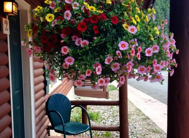 景色の見える一ベッドルームアパートメント, Three Bears Lodge
