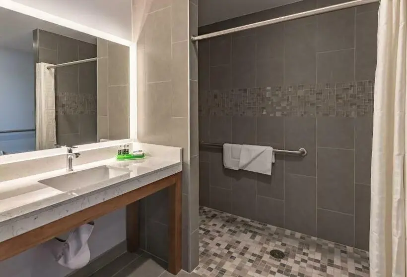 اتاق استاندارد برای معلولان, Lexen Hotel   North Hollywood Near Universal Studios