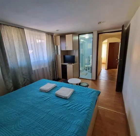 اتاق استاندارد با تخت بزرگ, Casa Maria Busteni Poiana Tapului