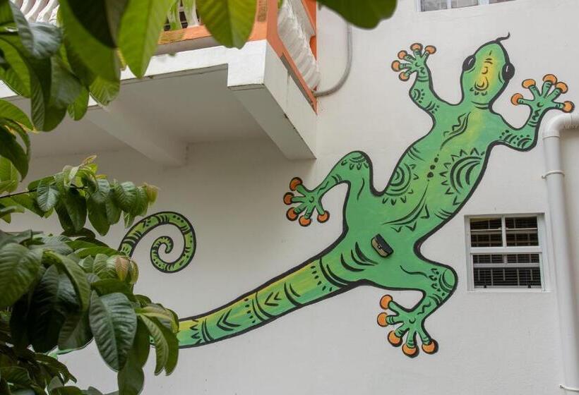 آپارتمان 1 خوابه با بالکن, Frenz