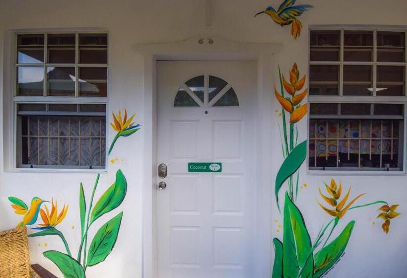 استودیوی استاندارد, Frenz