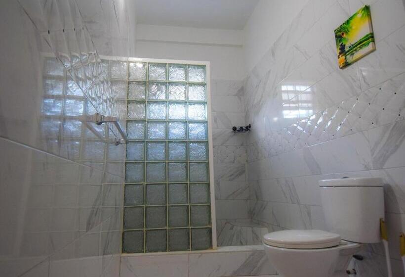 استودیوی استاندارد, Frenz