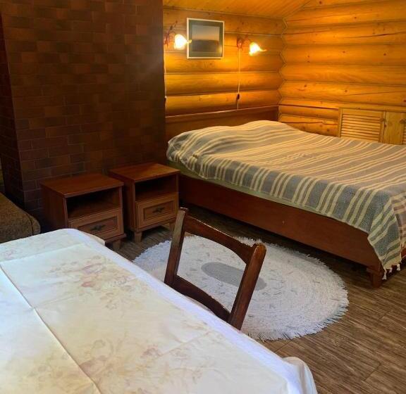 اتاق استاندارد, U Druziv