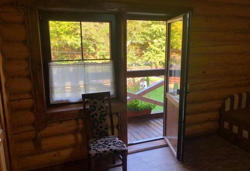 اتاق استاندارد, U Druziv