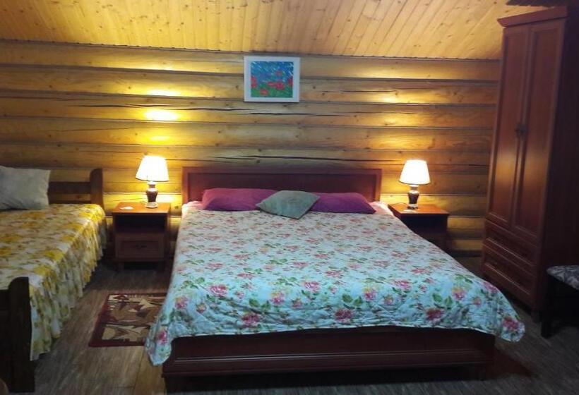 اتاق استاندارد, U Druziv