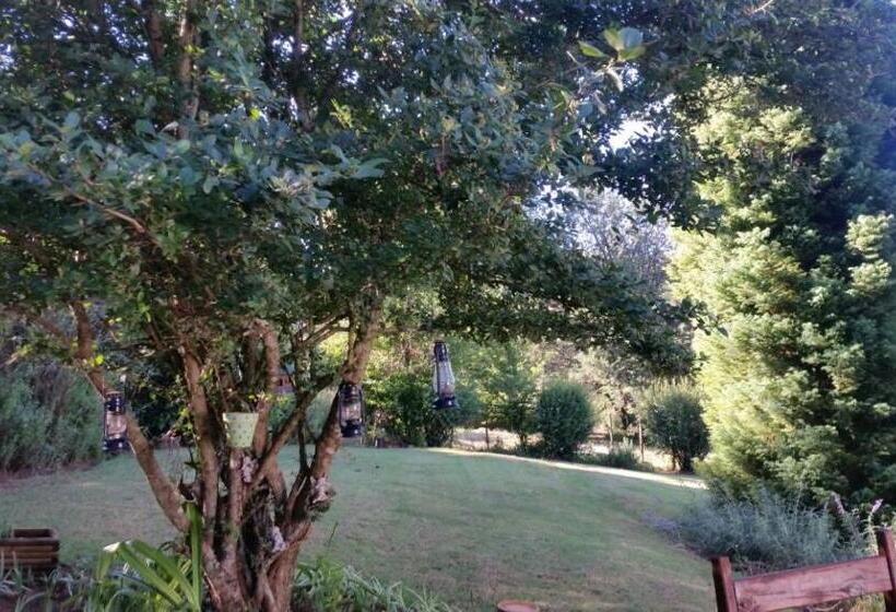 חדר סטנדרט עם נוף, Woodcutters Guest House