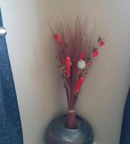 シングルデラックスルーム, Woodcutters Guest House