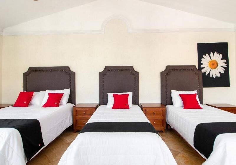 اتاق استاندارد چهار تخته, Capital O Hotel San Jose, San Luis Potosi