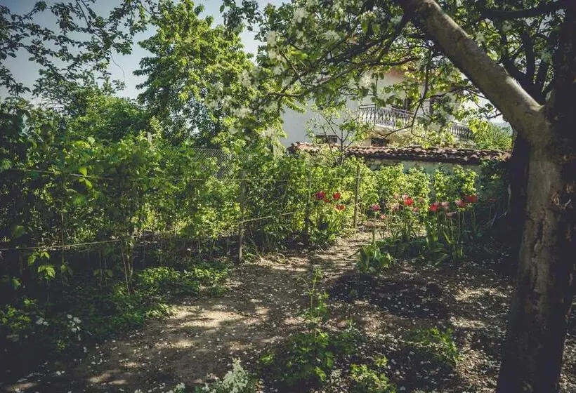 اتاق استاندارد, Art Studio