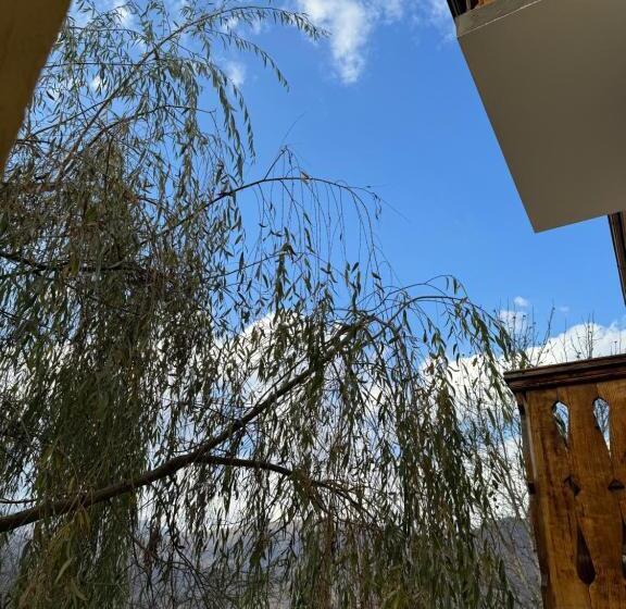 ファミリージュニアスイート, Verin Tun