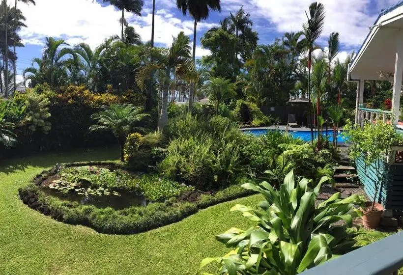 Deluxe Suite Sea View, Orchid Tree B&b