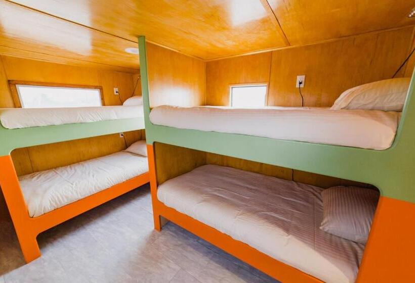 سرير فى غرفة مشتركه, Luna Mystica