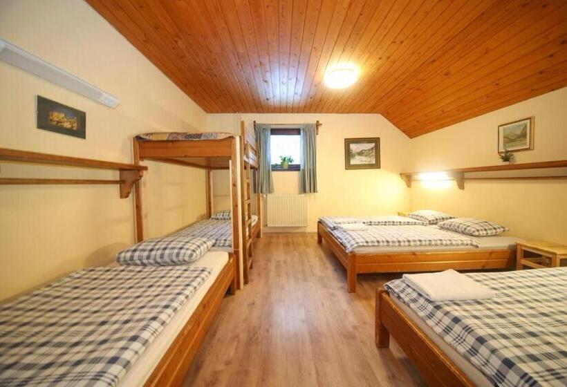 اتاق خانوادگی, Planinska Koča Na Gozdu