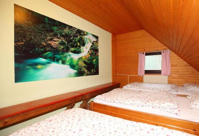 اتاق استاندارد چهارنفره با سرویس بهداشتی مشترک, Planinska Koča Na Gozdu