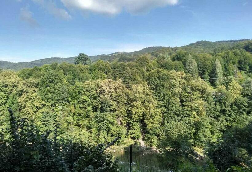 ２ベッドルームハウス, Borgaza