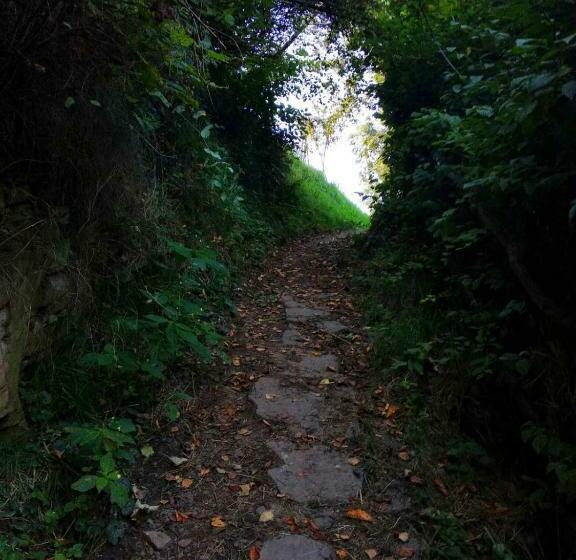 ２ベッドルームハウス, Borgaza