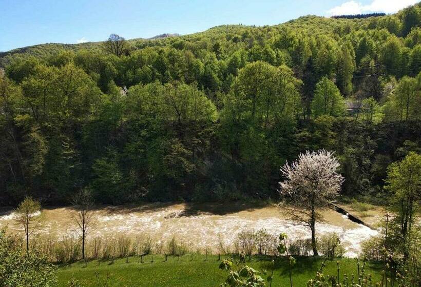 ２ベッドルームハウス, Borgaza