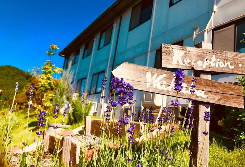 غرفة قياسية فردية حمام مشترك, Daigo House