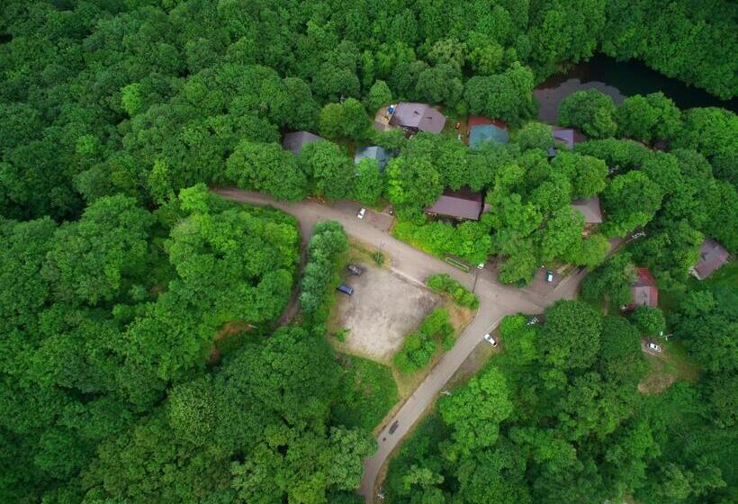 חדר סטנדרט, Pension Buddy