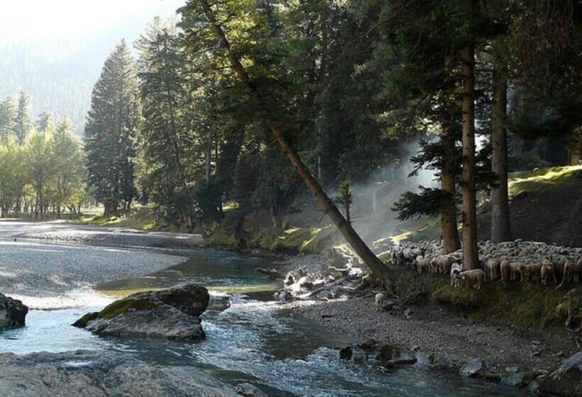 اتاق استاندارد با چشم‌انداز کوهستان, Hayat Hotel Pahalgam