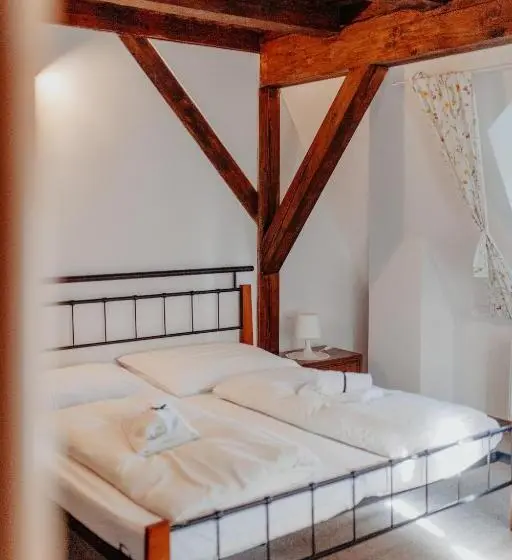 Standard-huone, Penzion St. Martin