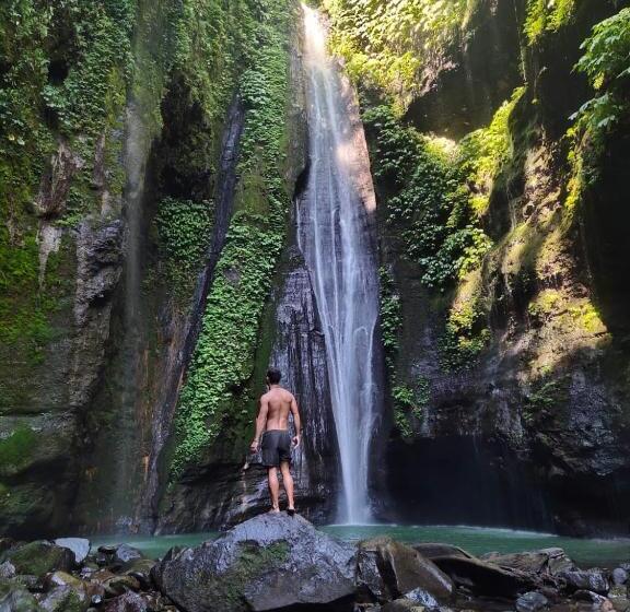 デラックスルーム, Sekumpul Accommodation