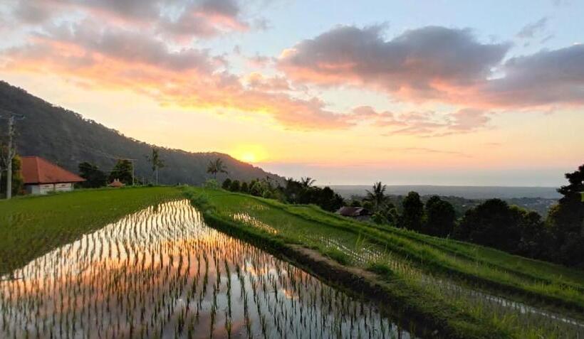 エコノミールーム, Sekumpul Accommodation