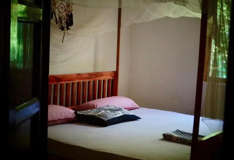 エコノミールーム, Allens Home Stay