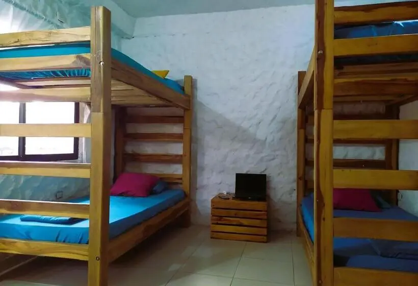 تختخواب در اتاق مشترک, Rokadura Hostel