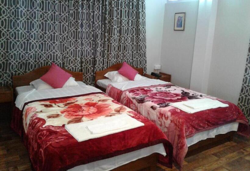 Номер Стандарт Вид на Сад, Aapas Residency