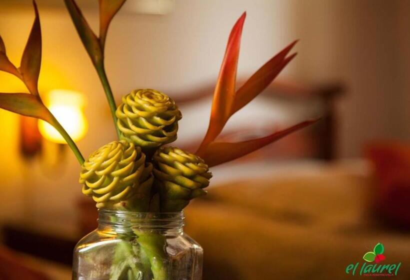 اتاق استاندارد, El Laurel Finca Agroturistica