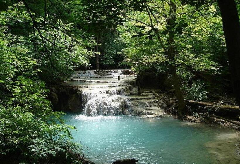 Номер Стандарт, Galaxy