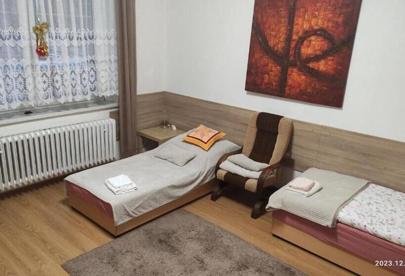 شقة غرفة واحدة, Penzion Palma