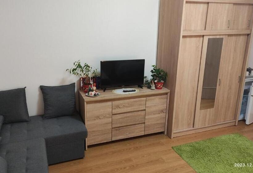 غرفة قياسية رباعية حمام مشترك, Penzion Palma