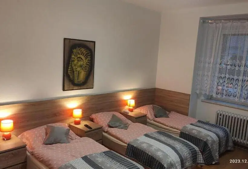 اتاق استاندارد چهارنفره با سرویس بهداشتی مشترک, Penzion Palma
