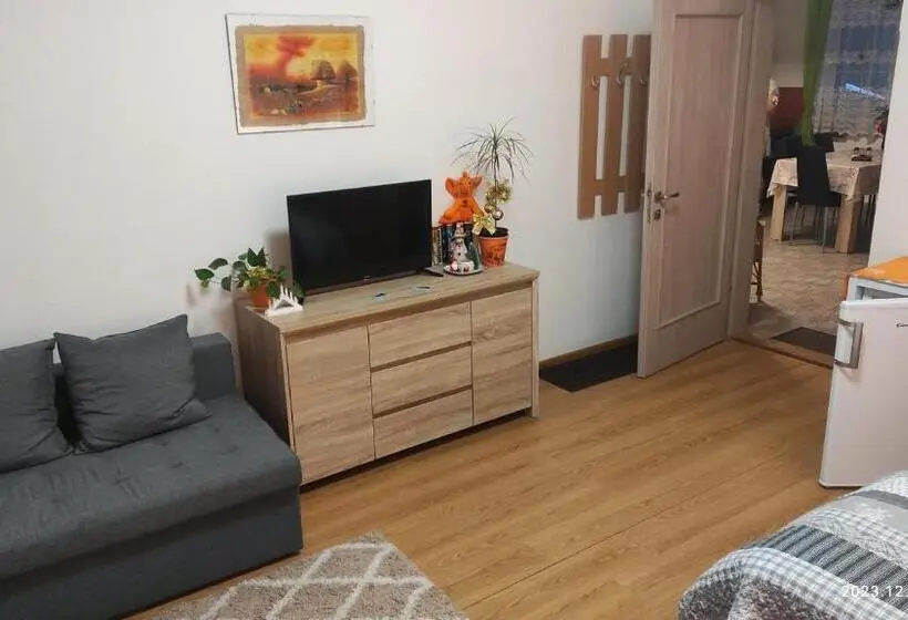 اتاق استاندارد چهارنفره با سرویس بهداشتی مشترک, Penzion Palma