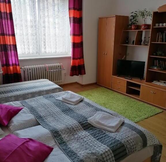 غرفة قياسية رباعية حمام مشترك, Penzion Palma