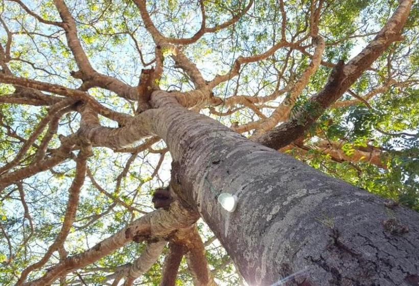 آپارتمان 1 خوابه, Pousada Toca Da Raposa