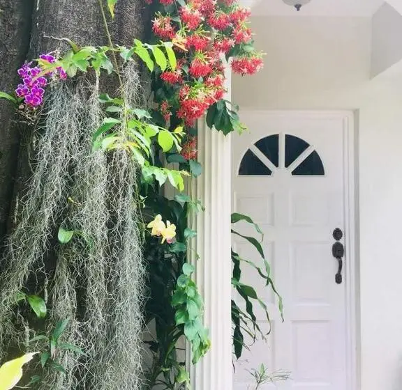 سوییت لوکس, Orchid Cottage